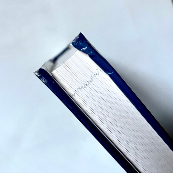 Aligning Projects with Objectives in Unpredictable Times. Hardcover. - Picture 5 of 5